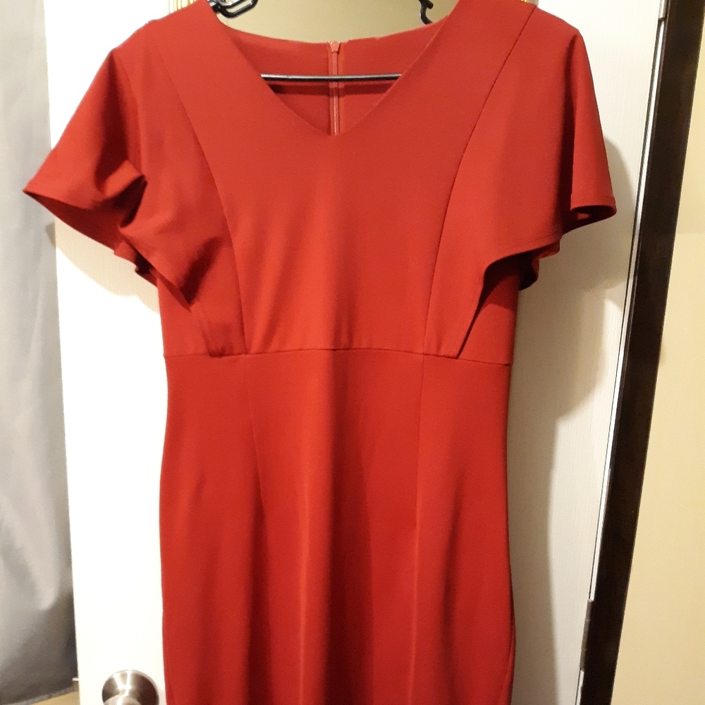 Sheath style Dress- NWOT sz12